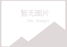 青铜峡乐枫化学有限公司